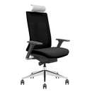 SKILLCHAIRS X7-BH-01 Maroc Prix