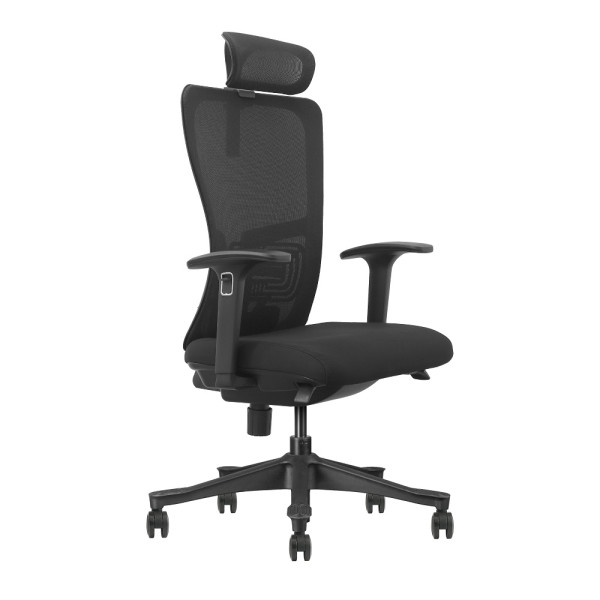 SKILLCHAIRS Ergo Apricity Prix Maroc