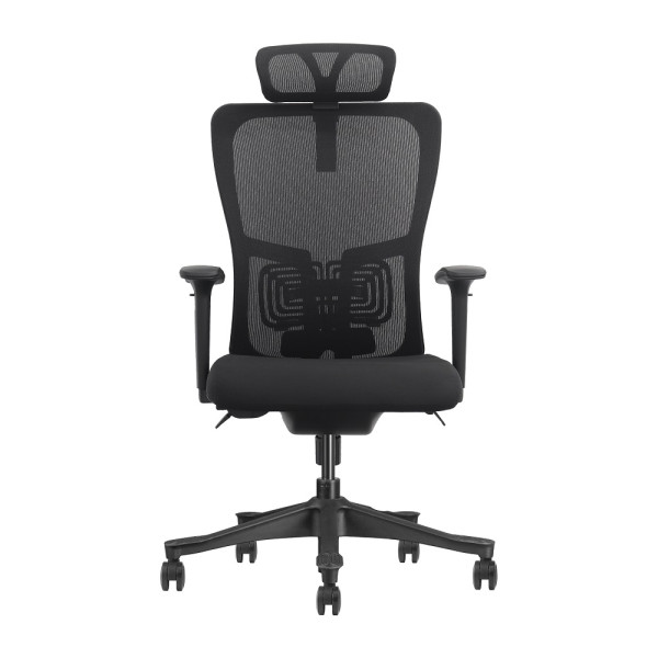 SKILLCHAIRS Ergo Apricity Maroc Prix