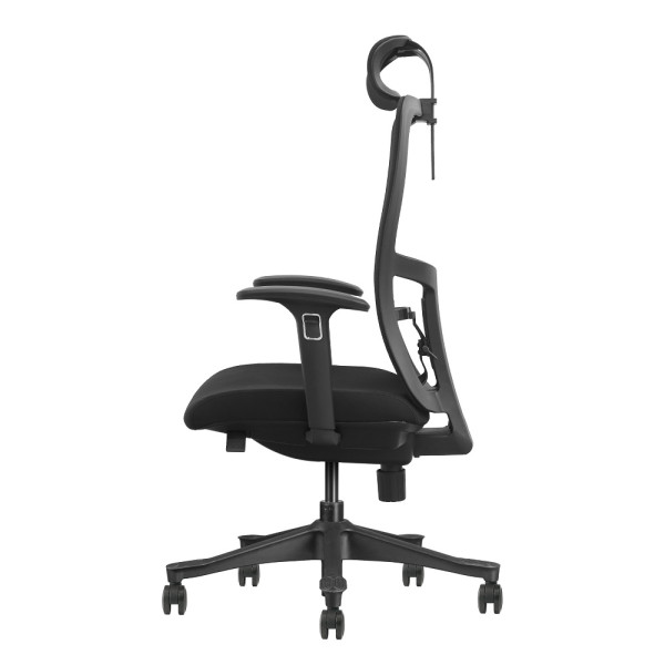 SKILLCHAIRS Ergo Apricity Maroc