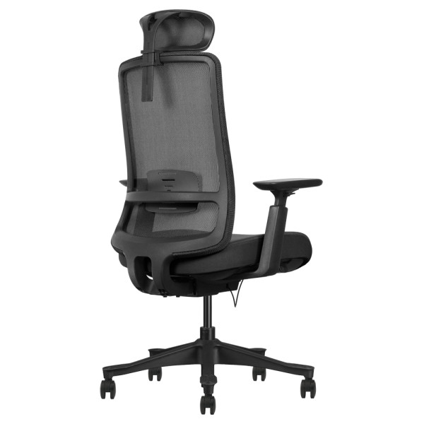 SKILLCHAIRS Ergo Diva Maroc Prix