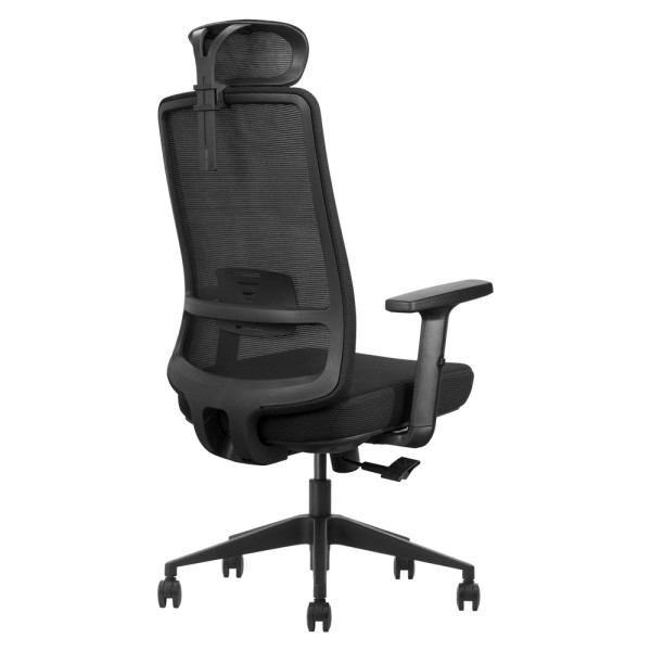 SKILLCHAIRS Ergo Luna Maroc Prix