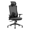 SKILLCHAIRS K9-BH-02 Maroc Prix