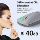 Ugreen Souris sans fil 2,4Ghz/10M GRIS Clair (90373) Casablanca