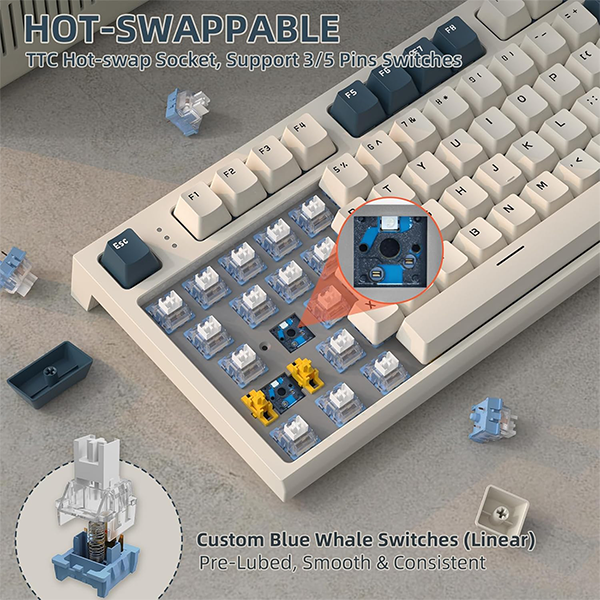 ATTACK SHARK K86 Timing machine (Blue Whale Switch) Casablanca