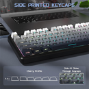 ATTACK SHARK X87 moon night (Strawberry Switch) Casablanca