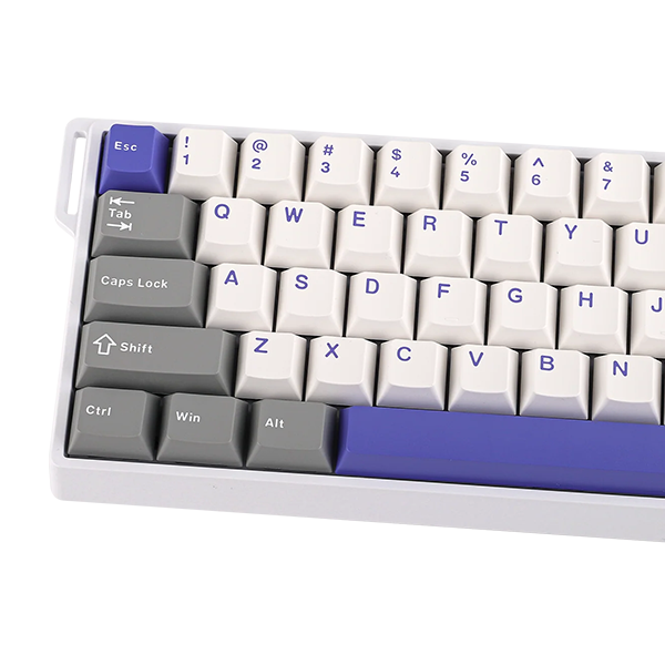 AULA WIN60 HE MAX Grey&White&Blue (Magnetic Switch) Casa