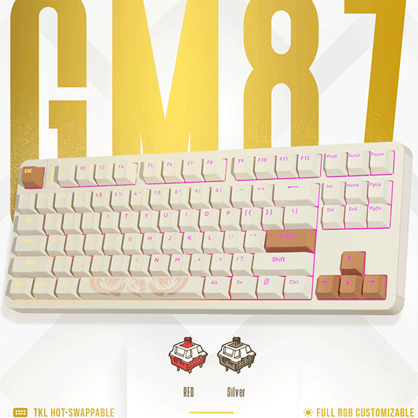M4G GOLDEN LION GM87 TKL RGB Maroc