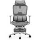 NOVA Focus Gris Prix Maroc