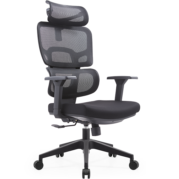 NOVA Sebou Noir Casablanca