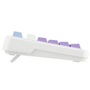 Odpaltoy×Ajazz AK820 MAX Purple (Magnetic Switch) Maroc