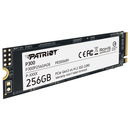 PATRIOT P300 256GB M.2 PCIE NVME SSD Casablanca