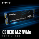 PNY CS1030 1TB Casablanca