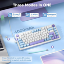 Redragon Cyrus Pro K681WBP RGB Pro Wireless Casa