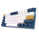 Royal Kludge RK61Plus Klein Blue Brown Switch (US Qwerty) Casablanca