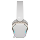 Royal Kludge RK HG101 (Platinum Gray) Casa