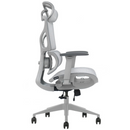 SKILLCHAIRS Ergo Calista (Grey) Casa