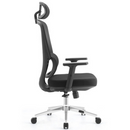 SKILLCHAIRS Ergo Dino Casa