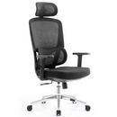 SKILLCHAIRS Ergo Dino Casablanca