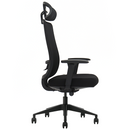 SKILLCHAIRS Ergo Gusto Casa