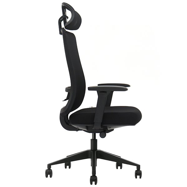 SKILLCHAIRS Ergo Gusto Casa
