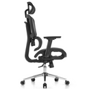 SKILLCHAIRS Ergo Venezia (Black) Casa