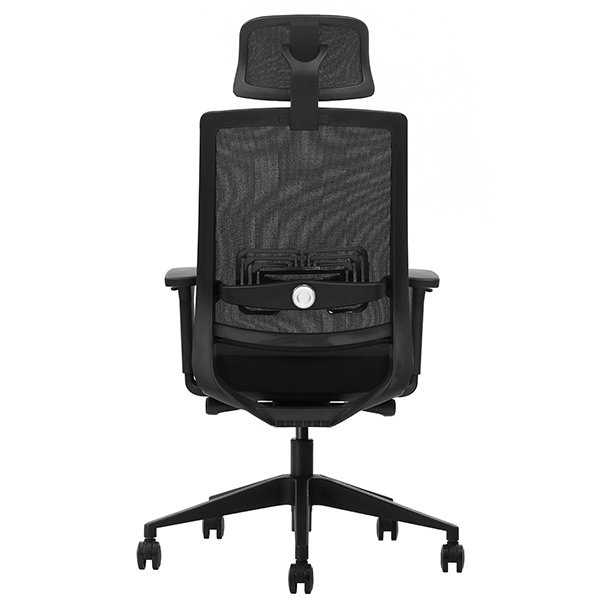 chaise ergonomique casa