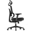 SKILLCHAIRS Ergo Viola Casa