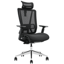 SKILLCHAIRS Ergo Vittoria Prix Casablanca