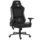SKILLCHAIRS Paladin Casablanca