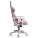 SKILLCHAIRS SC1 FAIRY Prix Maroc