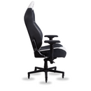 SKILLCHAIRS SC9 WHITE SHARK Maroc