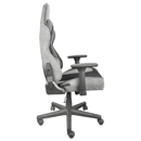 SKILLCHAIRS Tempest (Gray/Black) Casa