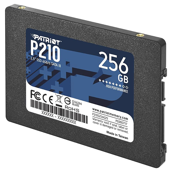 Patriot P210 256GB prix rabat