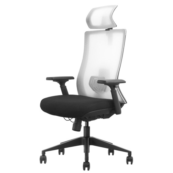 SKILLCHAIRS Ergo Riviera Black Prix Maroc