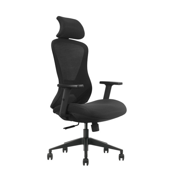 SKILLCHAIRS Ergo Estrella Maroc Prix