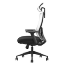 SKILLCHAIRS Ergo Riviera Black Maroc