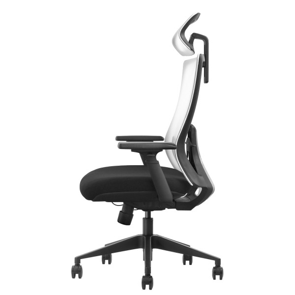 SKILLCHAIRS Ergo Riviera Black Maroc