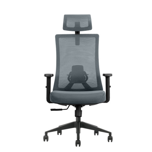 SKILLCHAIRS Ergo Aria (Grey) Prix Maroc