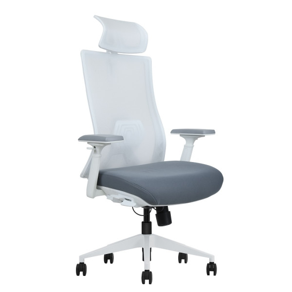 SKILLCHAIRS Ergo Riviera White Prix Maroc