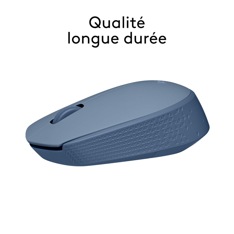 Logitech M171 Wireless Mouse (Blue Gray) Maroc Prix