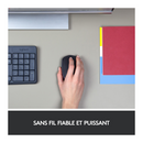 Logitech M171 Wireless Mouse (Noir) Maroc Prix