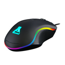 The G-Lab Combo Iridium Maroc