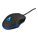 The G-Lab KULT HELIUM Maroc